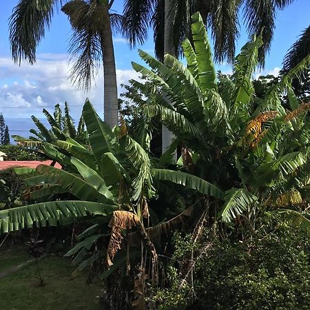 Hotel Honokaa エクステリア 写真