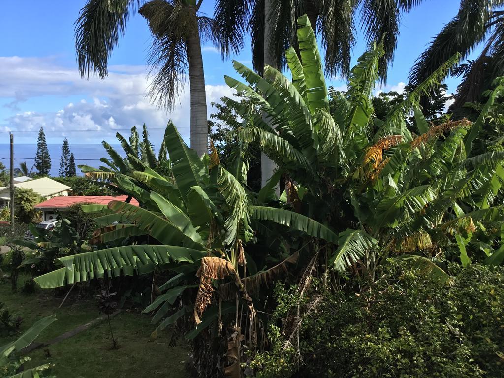 Hotel Honokaa エクステリア 写真