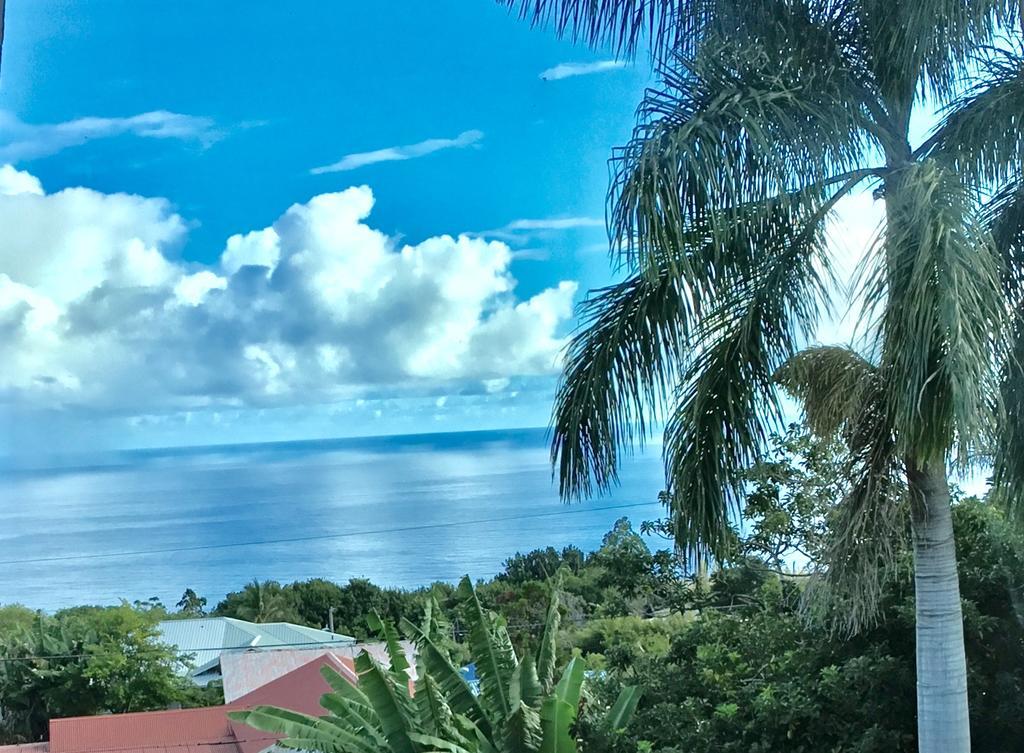 Hotel Honokaa エクステリア 写真